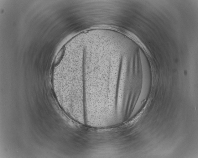 X0000067880908200605111822