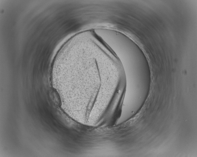 X0000067880912200605111822