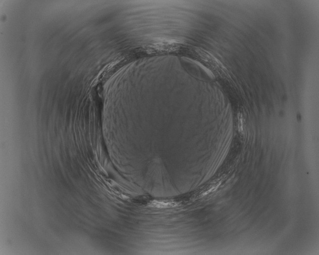 X0000067880915200605111821