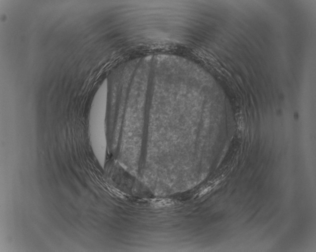 X0000067880916200605111821