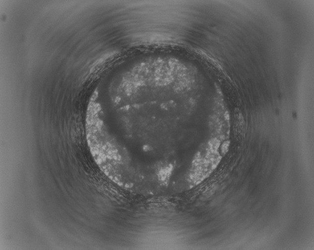 X0000067880918200605111821