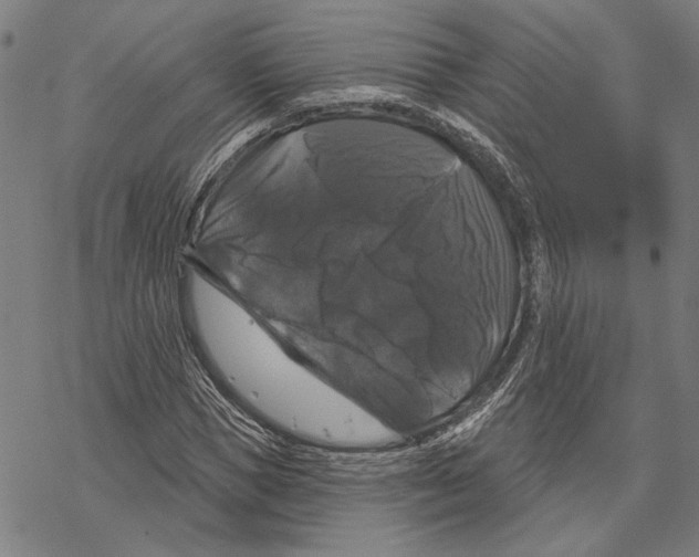 X0000067880921200605111821