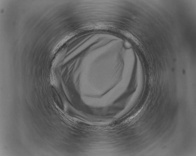 X0000067880922200605111821