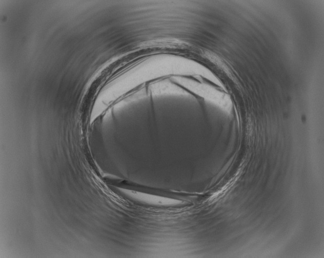 X0000067880923200605111821
