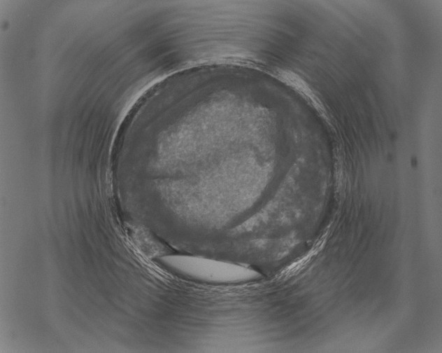 X0000067880924200605111821
