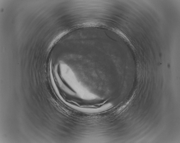 X0000067880930200605111821
