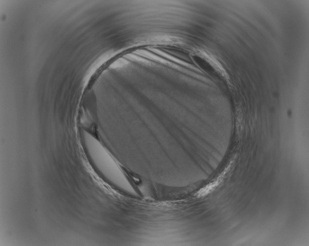 X0000067880944200605111821