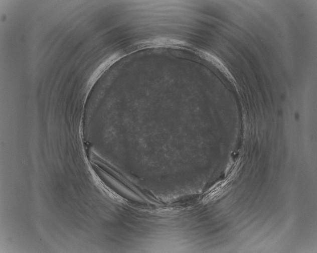 X0000067880946200605111822
