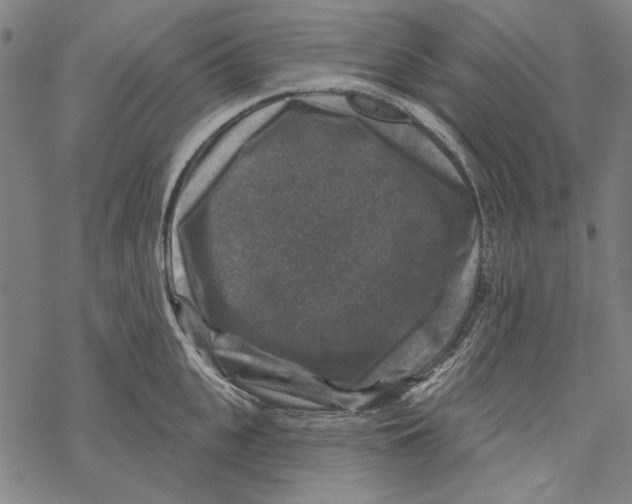 X0000067880951200605111822