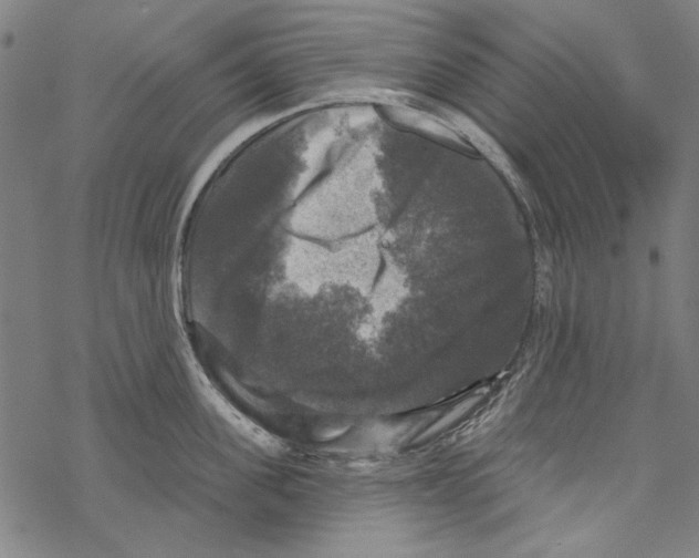 X0000067880955200605111822