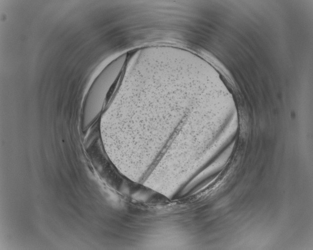 X0000067880956200605111822