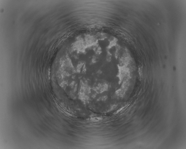 X0000067880963200605111821