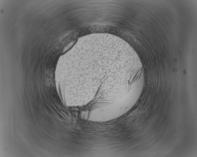 X0000067880964200605111821