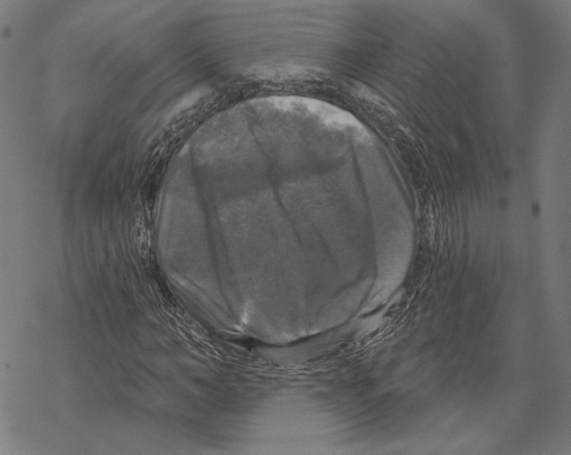 X0000067880966200605111821
