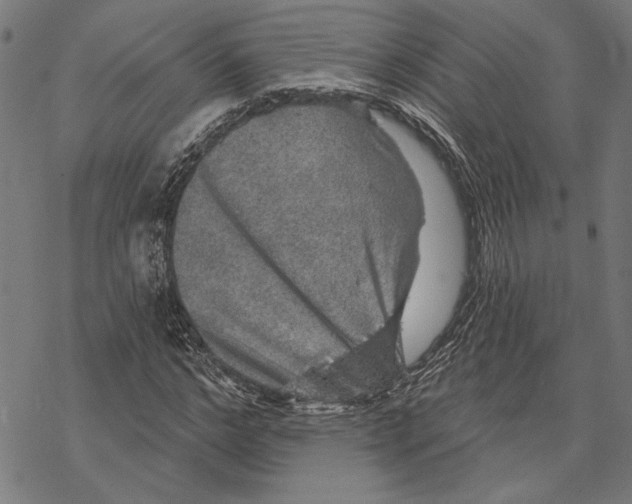X0000067880968200605111821