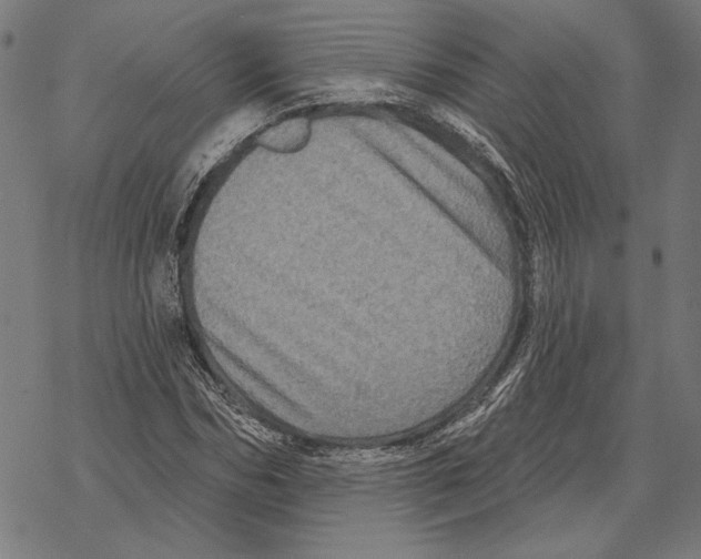 X0000067880970200605111821