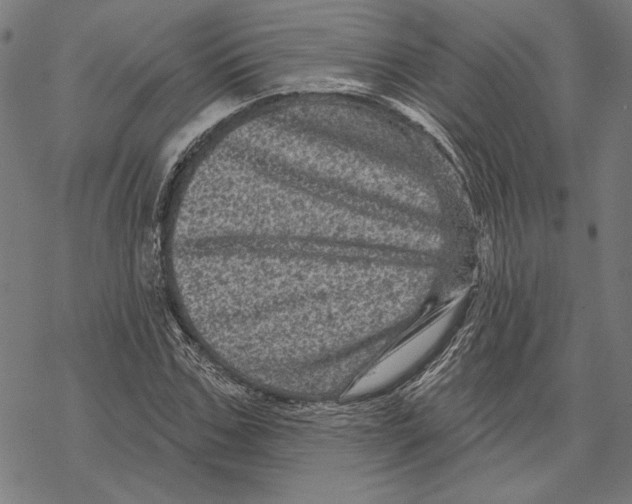 X0000067880971200605111821