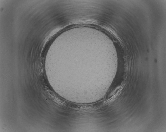 X0000067880974200605111821