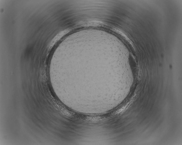 X0000067880978200605111821