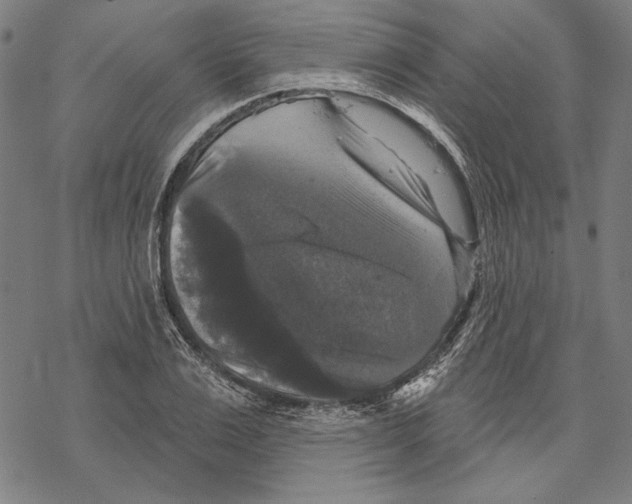 X0000067880983200605111821