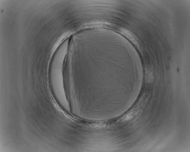 X0000067880994200605111820
