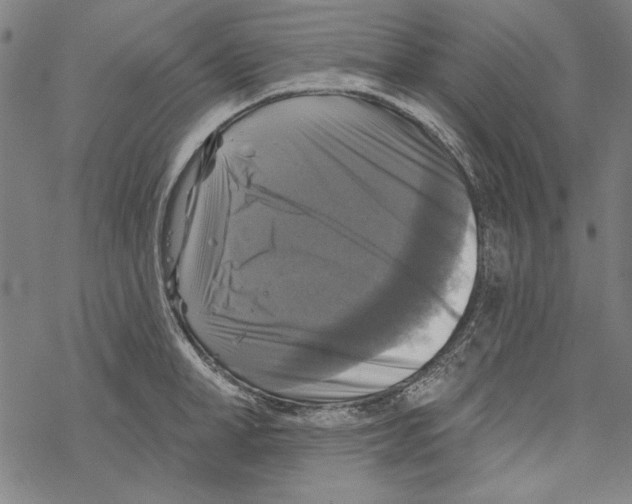 X0000067880998200605111820