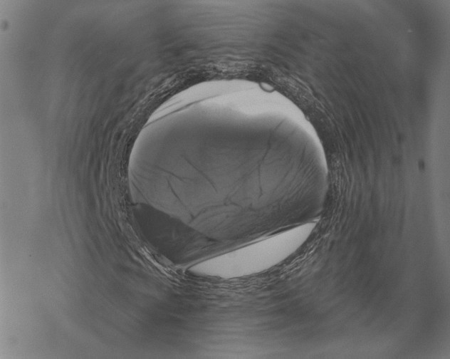 X0000067881009200605111819