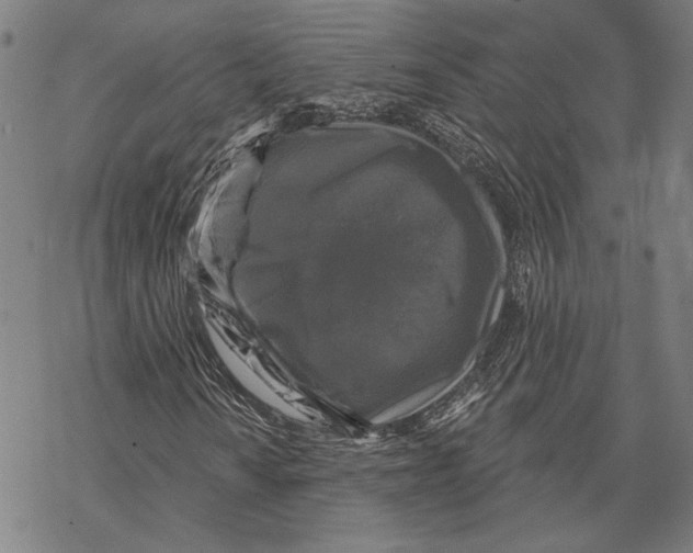 X0000067881010200605111819