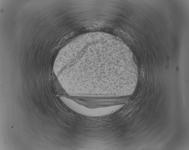 X0000067881012200605111819