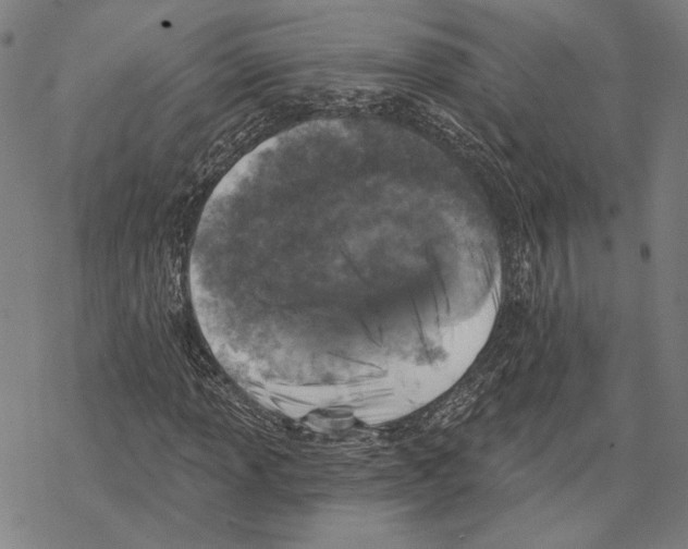 X0000067881013200605111819