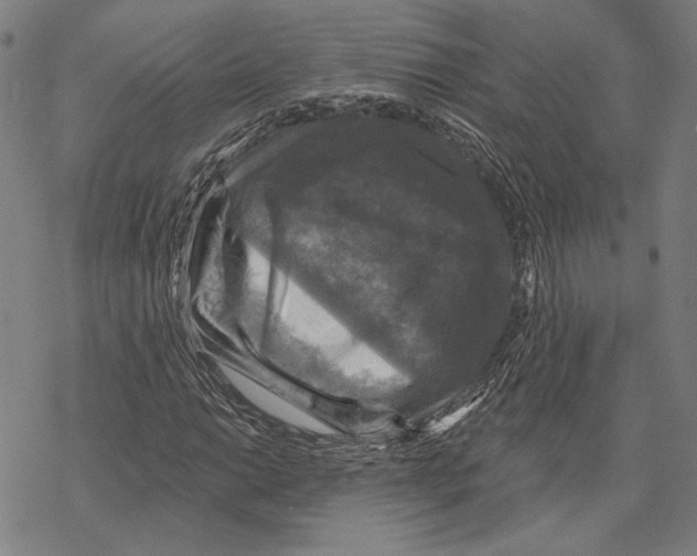 X0000067881014200605111819