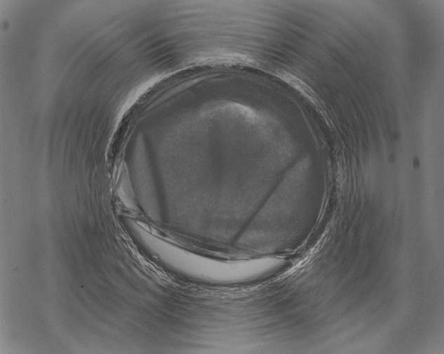X0000067881022200605111820