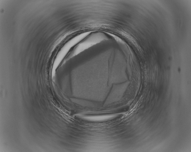 X0000067881023200605111820