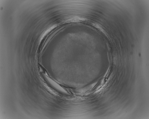 X0000067881026200605111820