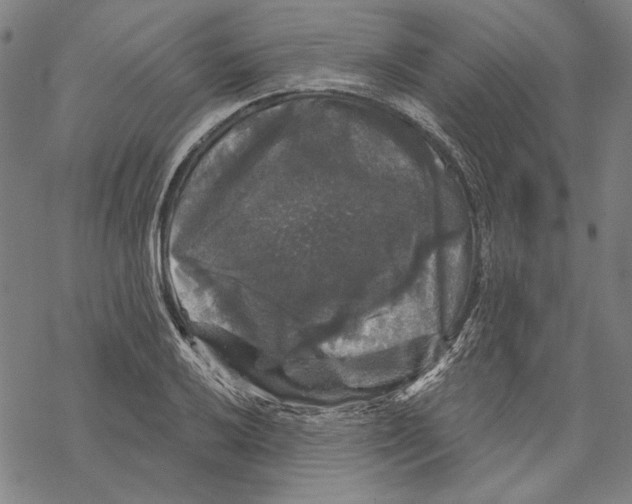 X0000067881032200605111820