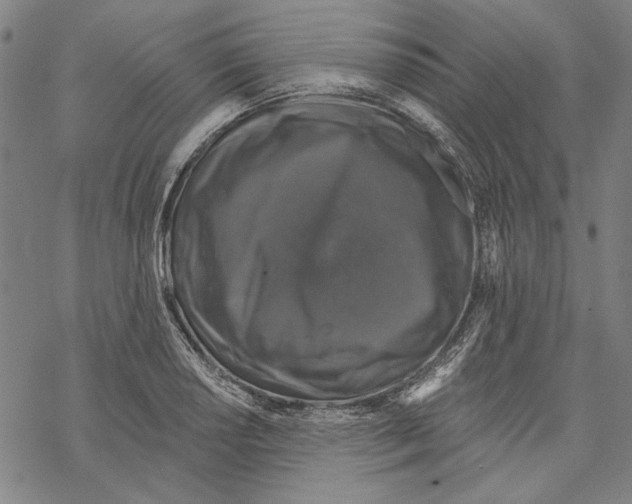 X0000067881034200605111820
