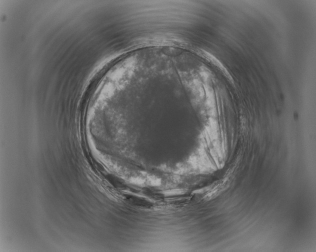 X0000067881035200605111820