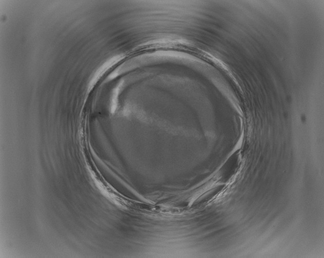 X0000067881042200605111820