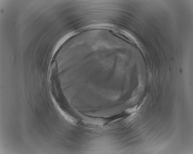 X0000067881050200605111820