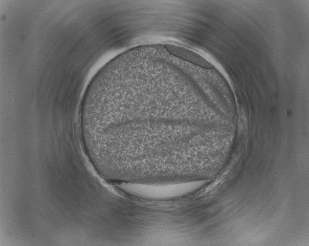 X0000067881053200605111820