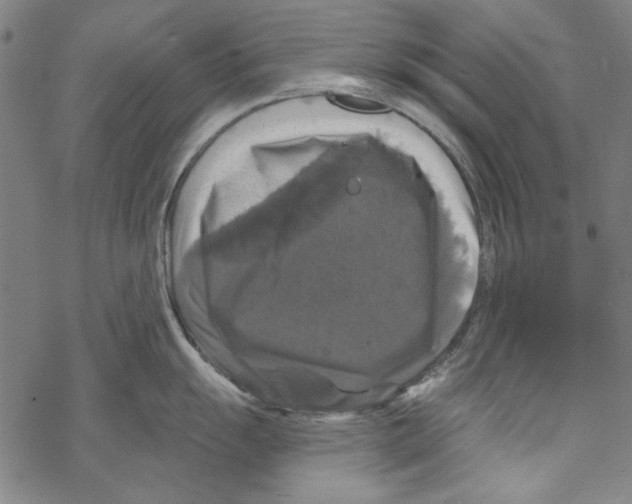 X0000067881055200605111820