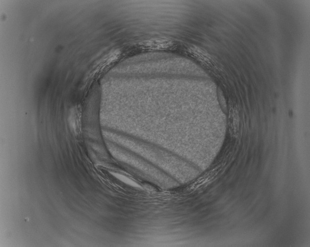 X0000067881058200605111819