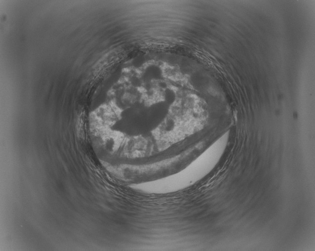 X0000067881059200605111819
