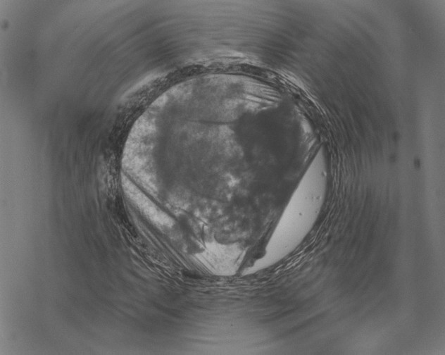 X0000067881063200605111819