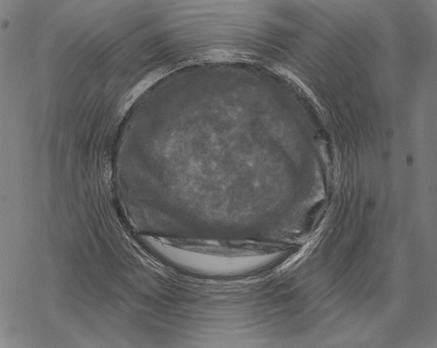 X0000067881065200605111819