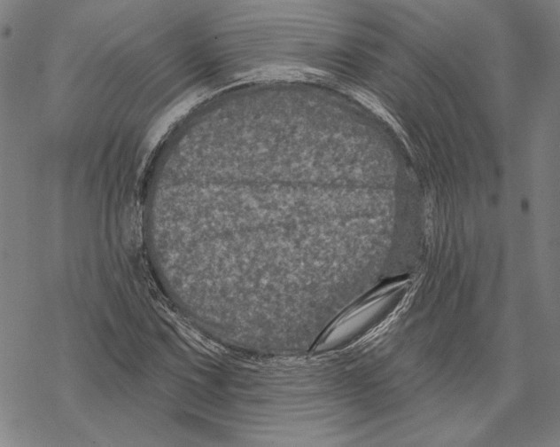 X0000067881067200605111819