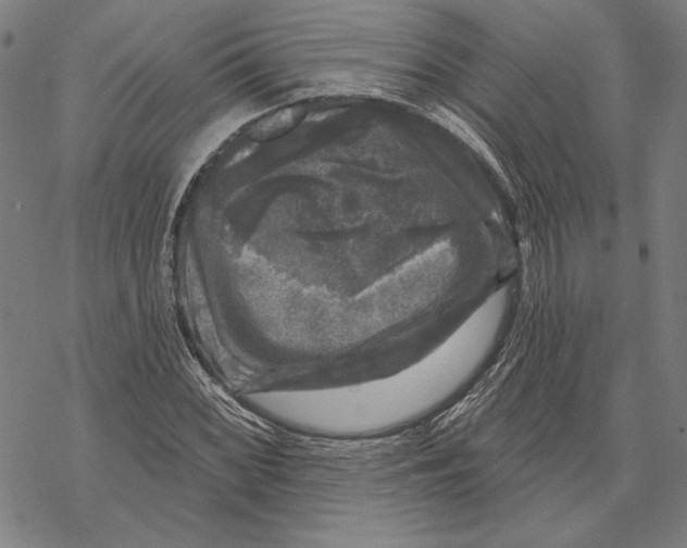 X0000067881068200605111819