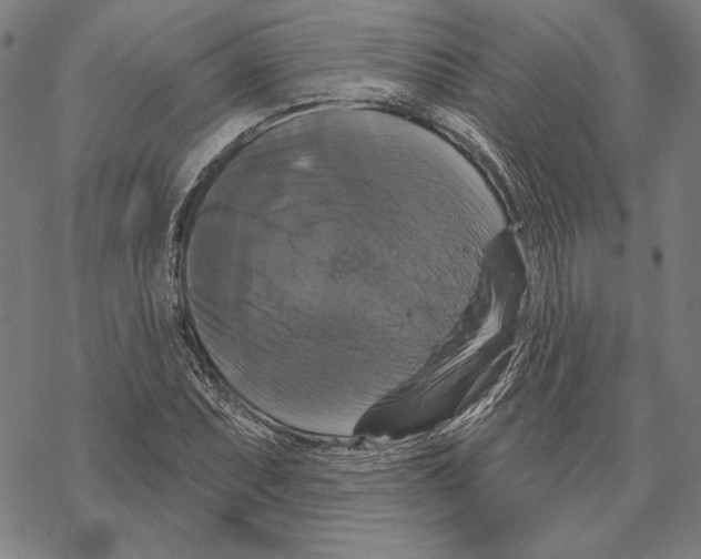 X0000067881071200605111819