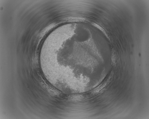 X0000067881074200605111819