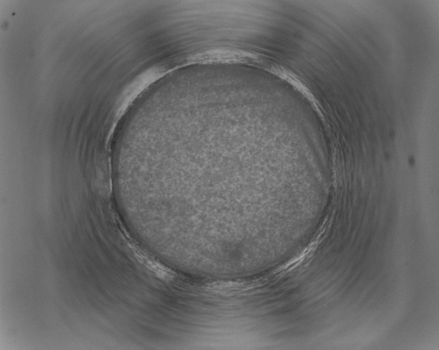 X0000067881075200605111819